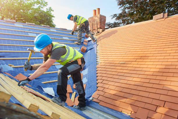 Best Roof Insulation Installation  in Clayco, MO